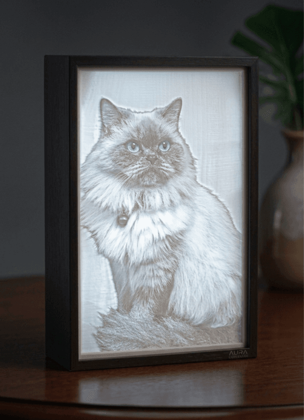 CSNStore.in custom lithophane light box – personalised pet photo glowing portrait wireless rechargeable Type-C fast charging- cool white CSNStore.in custom lithophane light box – personalised pet photo glowing portrait wireless rechargeable Type-C fast charging- cool white