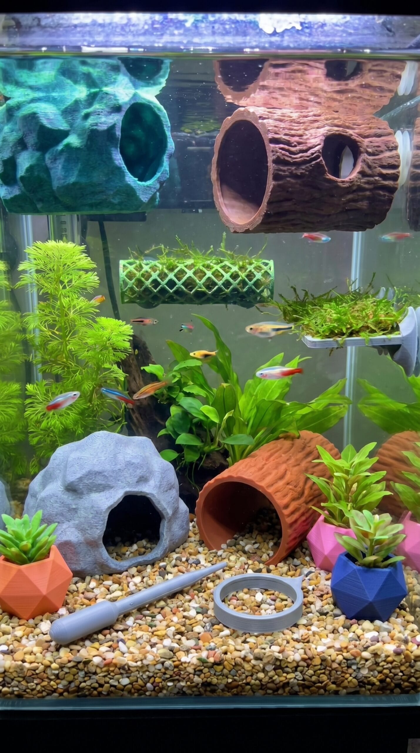 aquarium-category-image